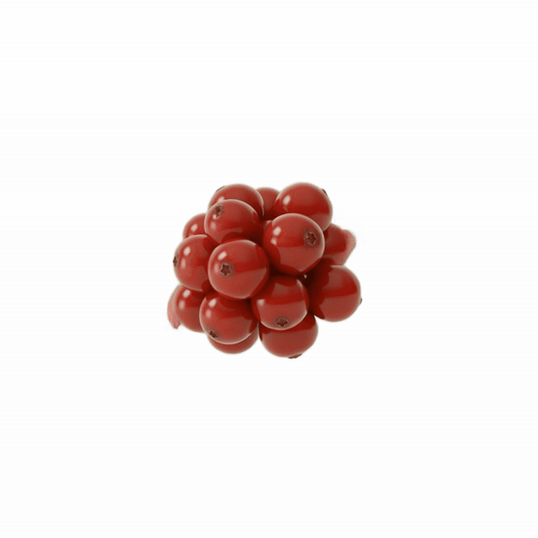 Cranberry