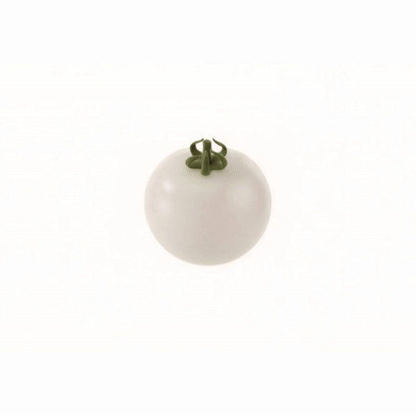 White tomato