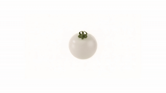 White Tomato Glo
