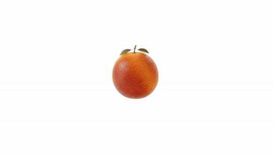 Xlimm Biotic Orange